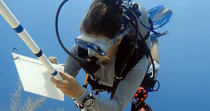 Marine Conservation and Water Sports